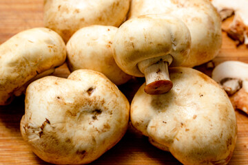 mushrooms on a wooden board