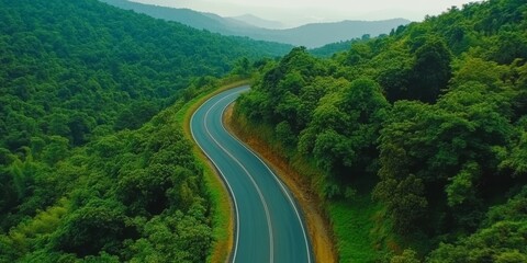 Embark on an adventure to explore the breathtaking beauty of a winding asphalt road nestled deeply within a vibrant green forest, showcasing natures serene and idyllic countryside surroundings