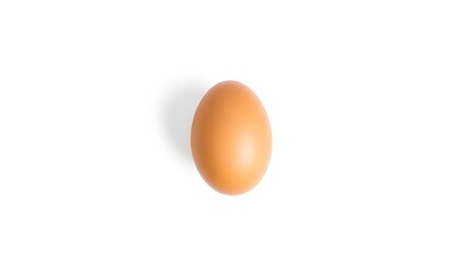 Single Brown Egg on a Plain White Background