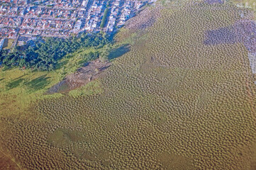 Aerial view of Murundum field, a type native vegetation under threat of extinction which features a...