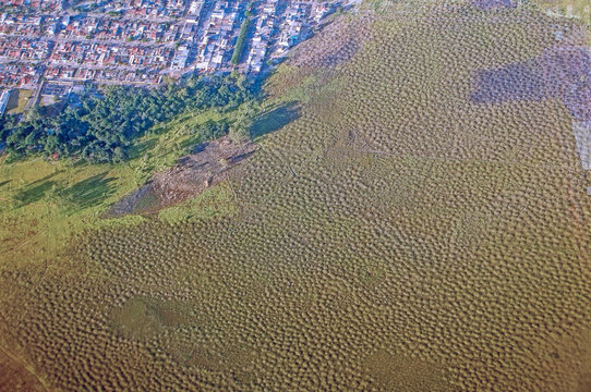 Aerial view of Murundum field, a type native vegetation under threat of extinction which features a flat area, flooded in the rainy season, which are inserted countless hillocks of land. Brasilia, BR