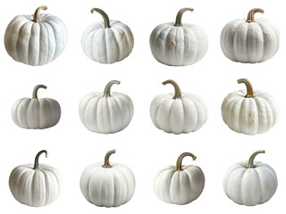 A Collection of White Pumpkins with Green and Brown Stems