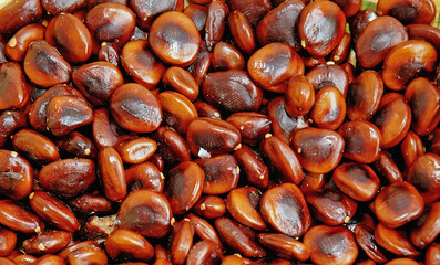 Tamarind  seeds, Tamarindus indica, it is a leguminous tree in the family Fabaceae used to produce candies and drinks. Brasília, Brazil, 2018