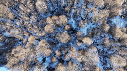 Patagonia Forest At Ushuaia In End Of The World Argentina. Winter Landscape. Amazing Outdoor. End Of The World Argentina. Snow Capped Forest. Patagonia Forest At Ushuaia In End Of The World Argentina.