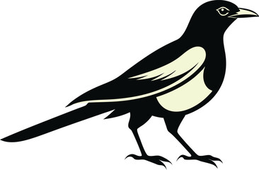 magpie silhouette vector art illustration 
