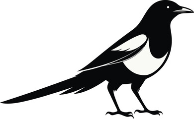 magpie silhouette vector art illustration 