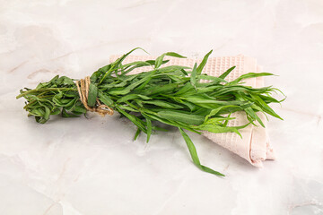 Green estragon branches for cooking