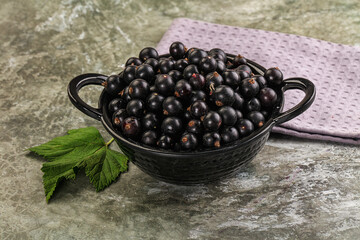 Ripe black currant in the bowl