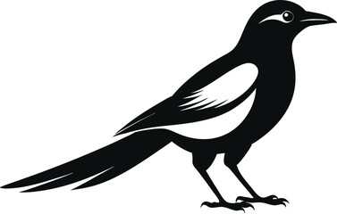 magpie silhouette vector art illustration 
