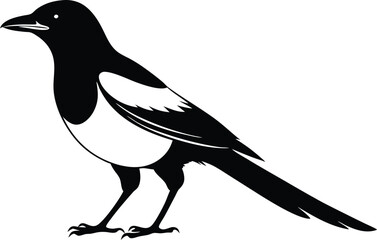 magpie silhouette vector art illustration 