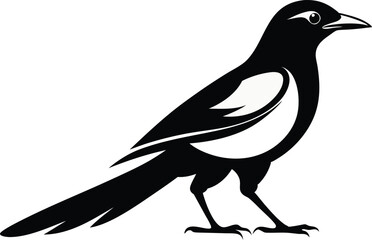 magpie silhouette vector art illustration 