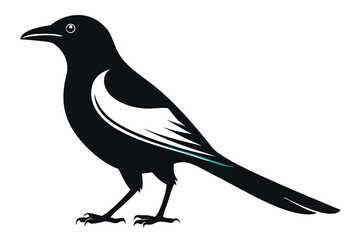 Obraz premium magpie silhouette vector art illustration 