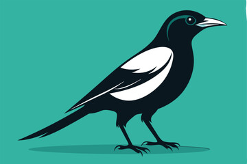 magpie silhouette vector art illustration 