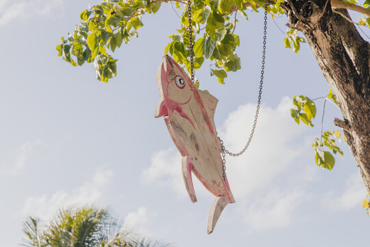 A wooden fish sign hangs from a tree as decoration in Bora Bora, French Polynesia. 