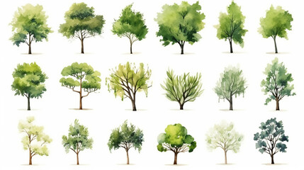 Fototapeta premium Tree watercolor style vector illustration set