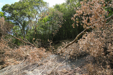 災害　土砂崩れ