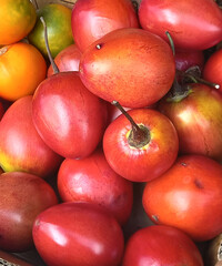 red and yellow tomato tree