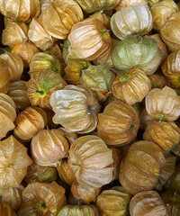 close up of a uchuva