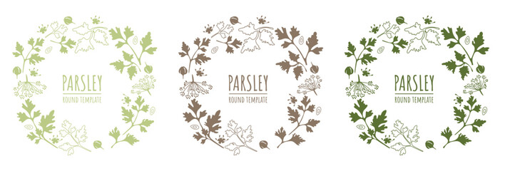 Parsley leaf, seed and flower template. Set of round organic leaf frames. Vector frames in one color. For labels, design, products