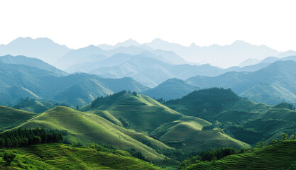 Lush green hills under a clear sky at dawn, cut out - stock png.