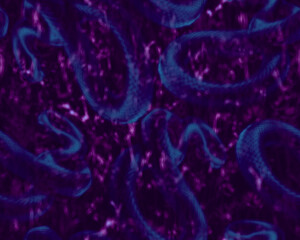 Gothic style seamless pattern with soft blurry poppies flowers and snakes. Halloween themed graphic print for clothing, fabric, wallpaper, home decor, wrapping paper.