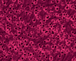 Gothic style seamless pattern with soft blurry poppies flowers. Halloween themed graphic print for clothing, fabric, wallpaper, home decor, wrapping paper