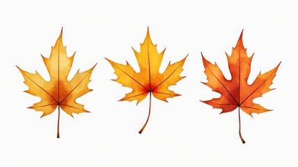 Fototapeta premium Vibrant Autumn Maple Leaves Illustration â€“ Seasonal Fall Foliage Art