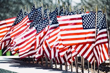American Flags in the Wind. 