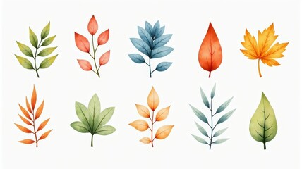 Fototapeta premium Watercolor Illustration of Various Leaves in Autumn Colors - Nature Design