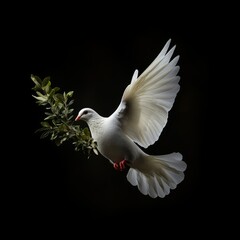 Obraz premium Serene White Dove Holding an Olive Branch, a Timeless Emblem of Peace and Harmony in Our World.