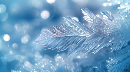 Delicate Ice Crystals with Blurred Blue Background