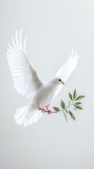 Obraz premium Serene White Dove Holding an Olive Branch, a Timeless Emblem of Peace and Harmony in Our World.