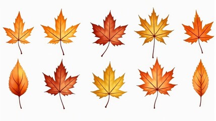 Fototapeta premium Autumn Leaves Illustration - Set of Colorful Fall Foliage