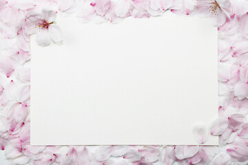 桜の花のフレーム