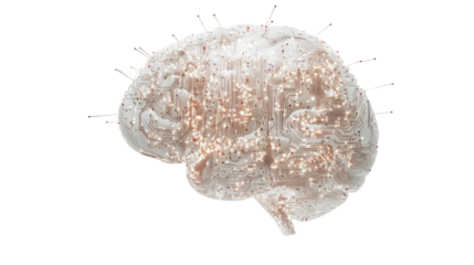 Digital brain transparent background