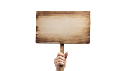Hand holding wooden stick or blank protest sign