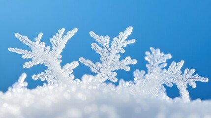 Delicate snowflakes sparkle against a clear blue backdrop, showcasing intricate frost formations in winter's chill