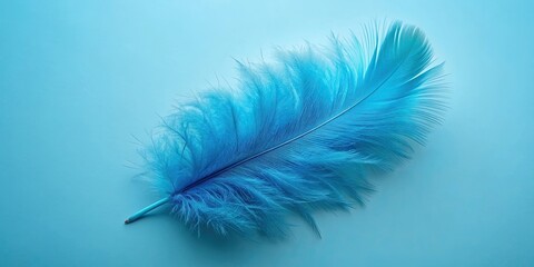 Blue fluffy feather isolated on a blue background, fluffy, feather, soft, light, delicate, elegant, floating, airy, airy