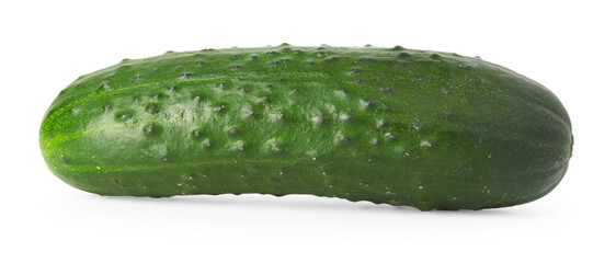One fresh green cucumber isolated on white