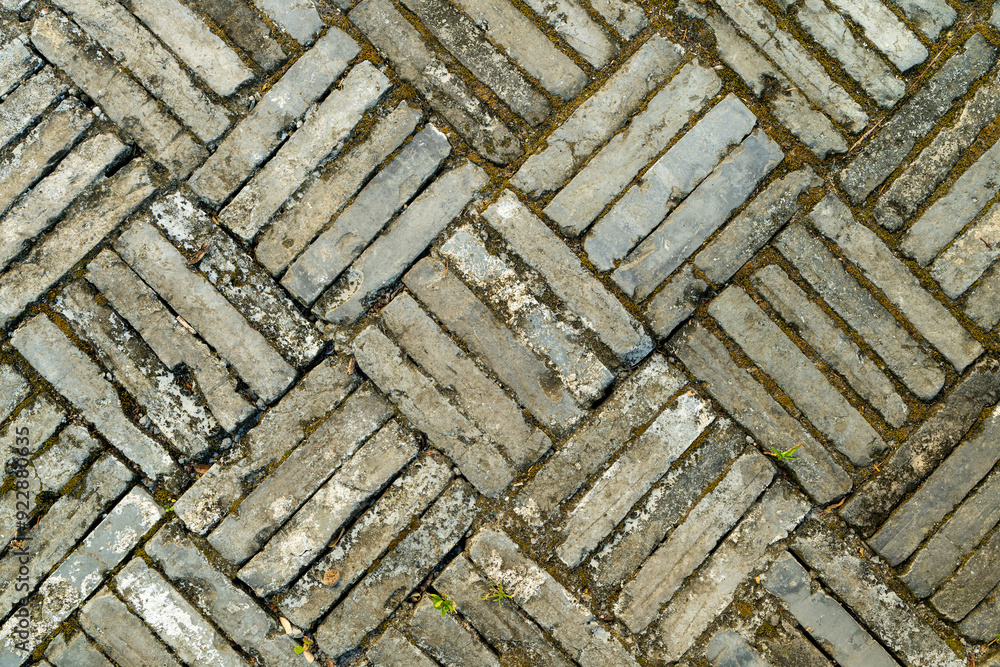 Wall mural Close-up of floor tile texture