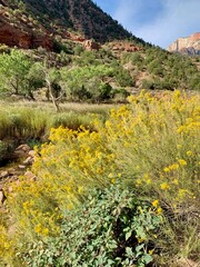 Stunning roadside view driving along the scenic bypass highway route 9 through Zion national park...