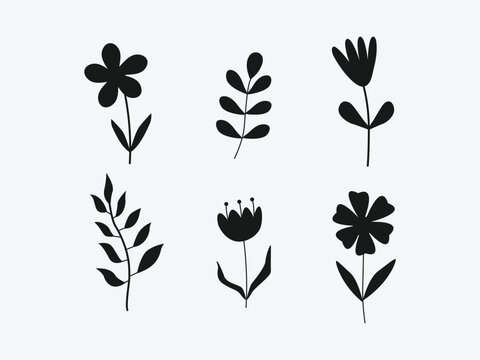 flower silhouette collection