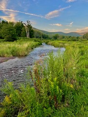 A picture perfect day CD Lane Park in Windham New York.  Beautiful lake with grass meadow, native flowers, trails and scenic views.  