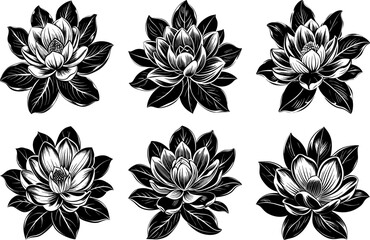 Obraz premium Detailed Black and White Magnolia Blossom Set Vector Illustrations for Serene Design Projects.
