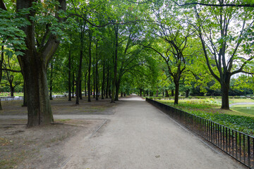 Warsaw, Poland - August 6, 2024: Royal Łazienki Park in Warsaw, Palace in the park, Lazienki Palace, Poland Outdoors