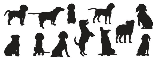 scollection animal dog different positions