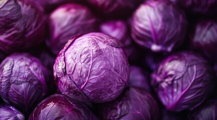 Fototapeta premium A closeup shot of several fresh and vibrant purple cabbages, beautifully showcasing their rich hue and unique texture