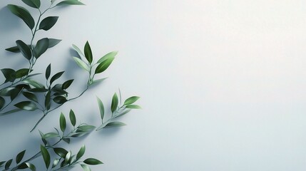 Naklejka premium Green Branches on Light Blue Background: Simple and elegant, this image features delicate green branches with leaves arranged along the left side of a light blue background