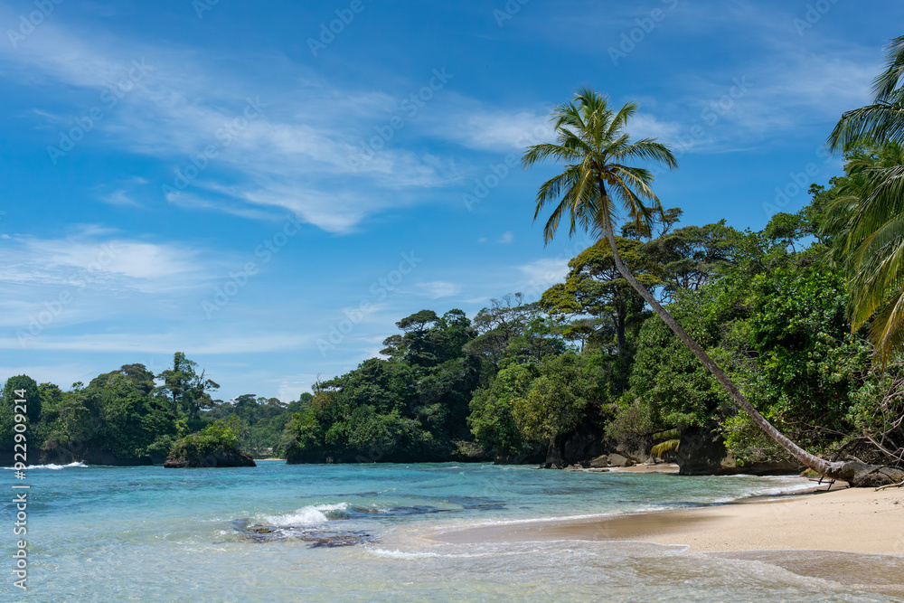 Wall mural tropical beach paradise with palm trees, turquoise clear water, and blue sky - perfect island vacati