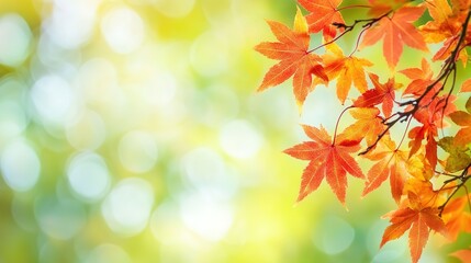 Stunning Autumn Red Maple Leaves Close-Up with Green Bokeh and Blurred Background, Reflecting Japanese Artistic Style in High Resolution and Vivid Natural Colors